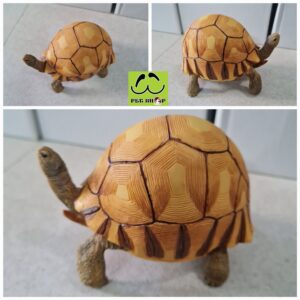 TUONGRUA