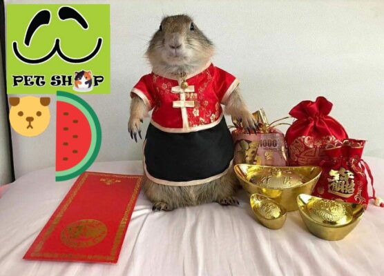 Tham gia chia sẻ để nhận Khuyến mãi hoàn tiền Ship của Ú Ù P.S