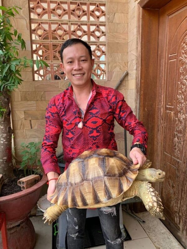 Rùa Sulcata thân thiện với con người