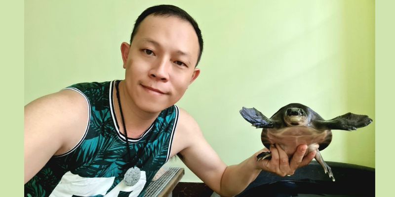 Phân biệt rùa mũi lợn đực cái không phải đơn giản