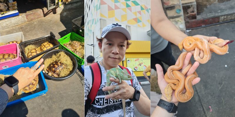 Bảng giá Pet nhập từ Thái