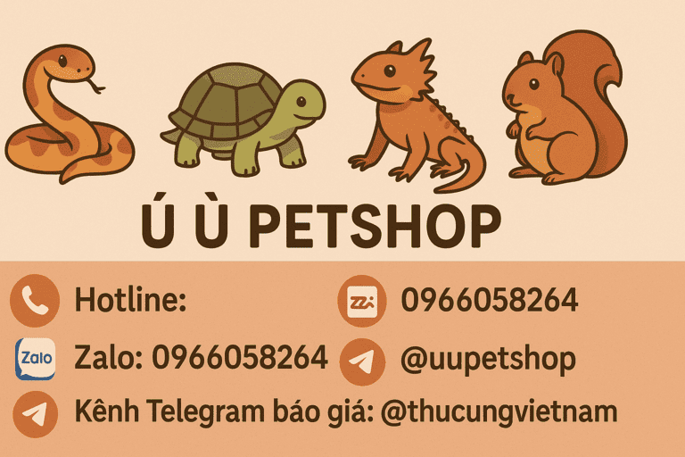 Liên hệ Ú Ù P.S