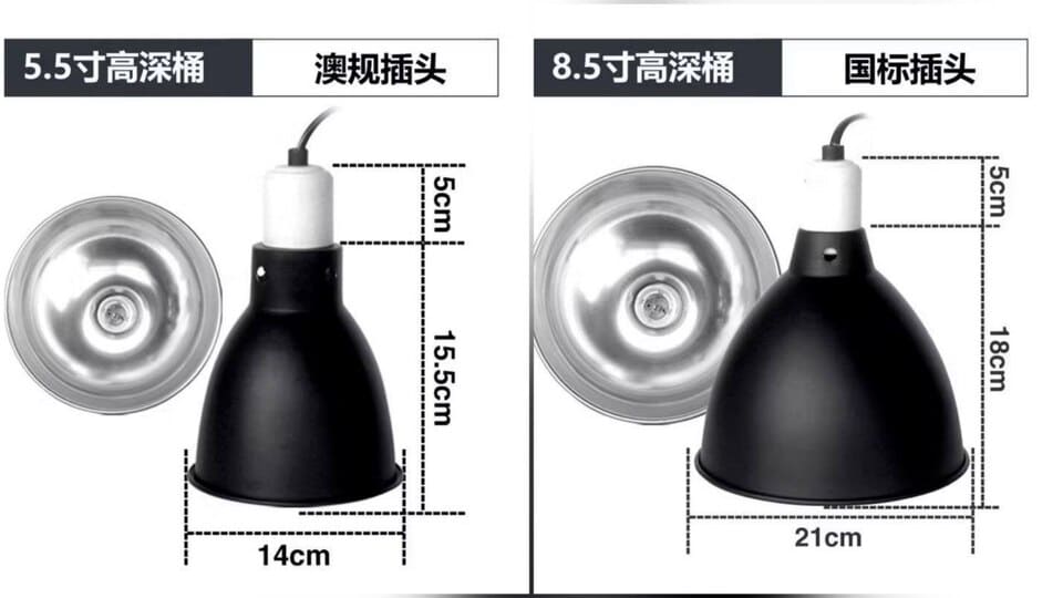 Chụp đèn (Lamp Dome / Reflector)